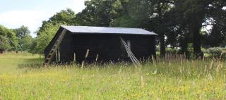 The Old Apple Shed cosy heated cottage in a meadow close to the charming village of Bethersden - Ashford - 1