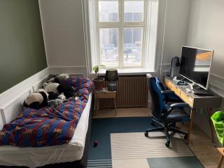 Apartment in Nørrebro - 4
