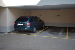 Gentiana C7 - Arosa - 3