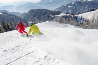 Alpen Appartements Oberlehengut - 0