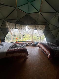 Glamping Cacica del bosque - 2