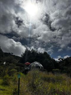 Glamping Cacica del bosque - 1
