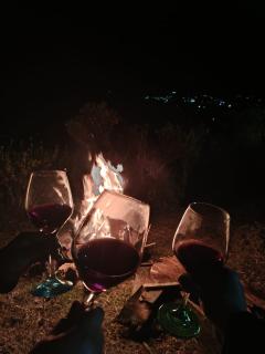 Glamping Cacica del bosque - 3