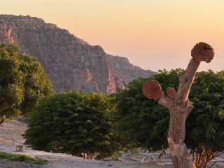 Dana luxury huts - Dana - 6