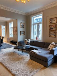 Elegant Frogner apartment - 1