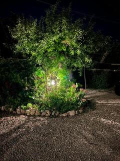 Agriturismo Il Giardino Degli Olivi Appartamenti - 4