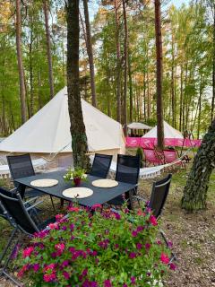 Caravana Juliana - Glamping - 4