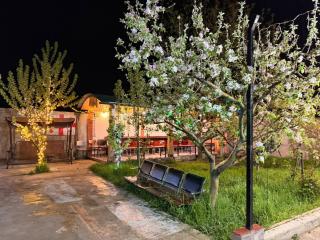 The Saguramo House - 3