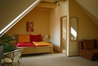 Hotel Barbarossa - Cheb - 2