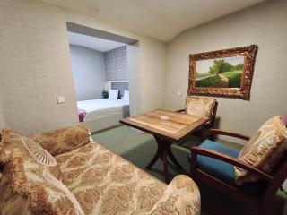 Alis Business Hotel baku - 8
