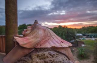 Hotel Los Corales - 3