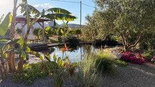 Nafplio Lodge - 7