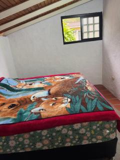 Cabaña destino 11 - 1