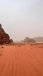 Al-Majarah Camp - 4
