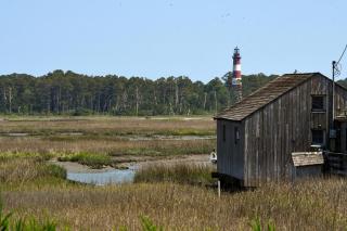 Lighthouse Overlook - 9