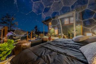 Zion & Bryce Stargazing Dome Fire Pit Hammocks BBQ - 7
