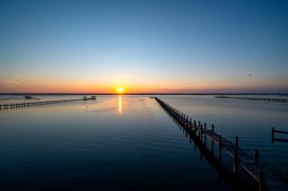 Paradise - 5