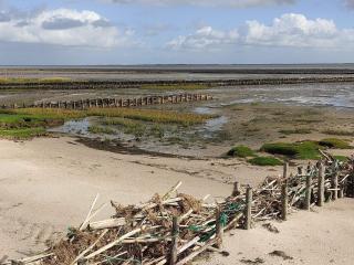 4 star holiday home in Ribe - 2