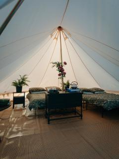 Forest Edge Glamping - 4