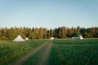 Forest Edge Glamping - 3