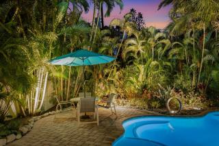 Pineapple Palms - 7