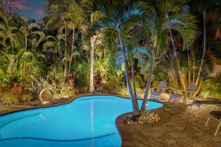 Pineapple Palms - 5