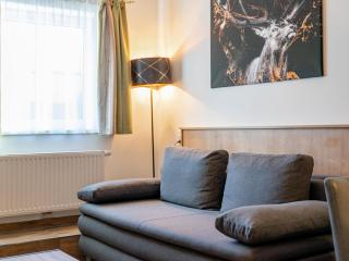 Tauern Suites Mitterwirt TOP 125 - 1