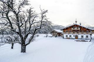 Hoferbichlgut - Saalfelden am Steinernen Meer - 3