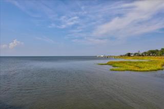 Vineyard Cove - 6