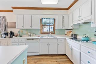 Vineyard Cove - 1