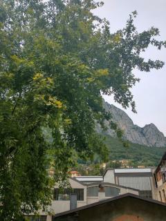 Maple Creek Lecco - 3