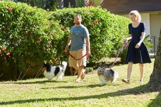 Best Western The Plaza Hotel Honolulu Airport - Free Breakfast - Honolulu - 7