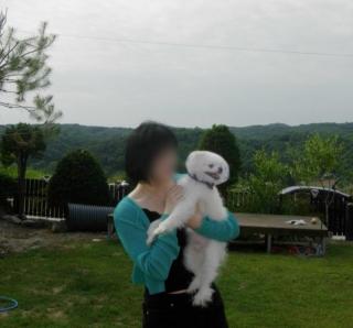 Yeoncheon Jjongi and Mary Newly Built First Branch Pet Pension - 9