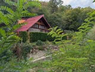 Casa din padure - Orşova - 7