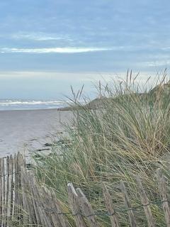 Les épines - Quend-Plage - 1