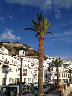 Los Bancales - 2