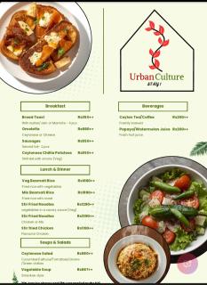 Urban tropics - 5