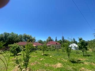 DANIEL Guest House - 4
