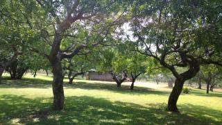 Umziki Chalets - Mkuze - 6