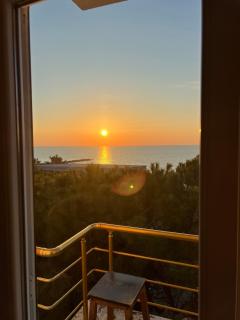 Sunset Pine Apartments - 1