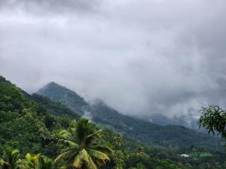 SenSac Paithalthattu Homestay - 0