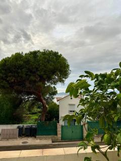 Emplacement idéal - 1