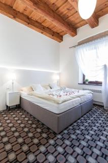 Hotel Salety - Valtice - 9