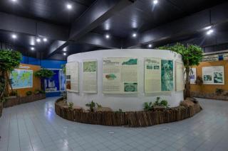 Suanpalm Farmnok - 4