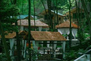 Zunbo Forest resort hotel - 1