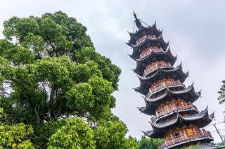 Scattered Cloud · Garden Mansion - 2