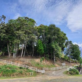 The Hill Kinabalu - 6