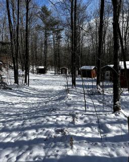 Quaint Cabin Surrounded by Nature for a Peaceful Retreat in White Lake, Wisconsin - 5