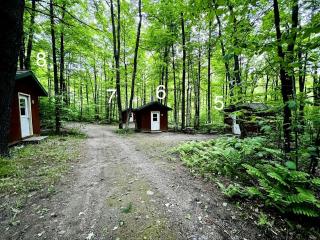 Quaint Cabin Surrounded by Nature for a Peaceful Retreat in White Lake, Wisconsin - 2