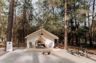 Luxury Glamping by Lake Blackshear: Cozy Safari Tent in Cordele, Georgia - 5